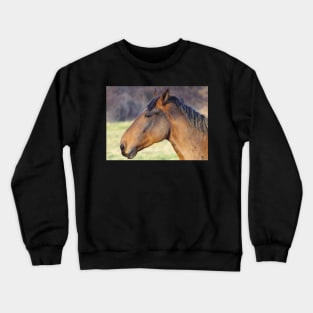 Horse Crewneck Sweatshirt